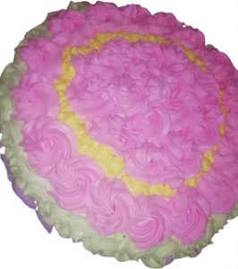pastel en gdl multicolor