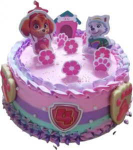 pastel paw patrol patrulla canina rubble zuma skye sweetie