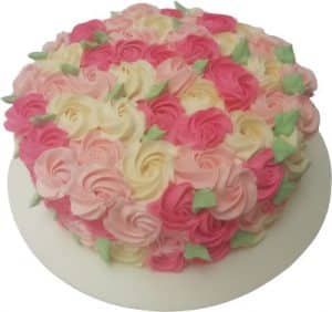 postres y pasteles cake